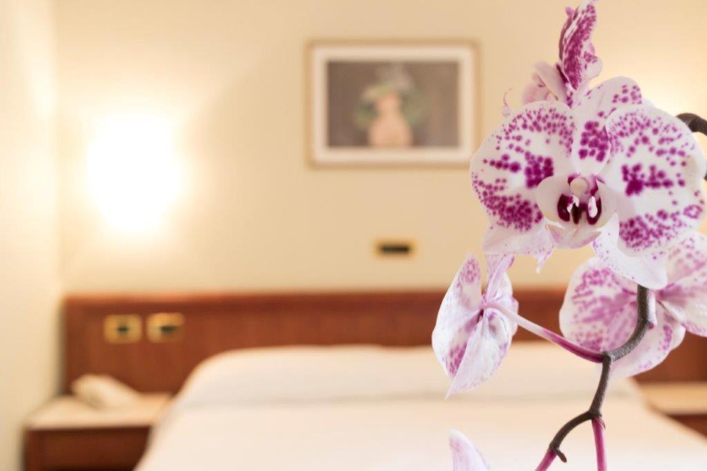 צ'יביטאנובה מארקה Palace Hotel מראה חיצוני תמונה
